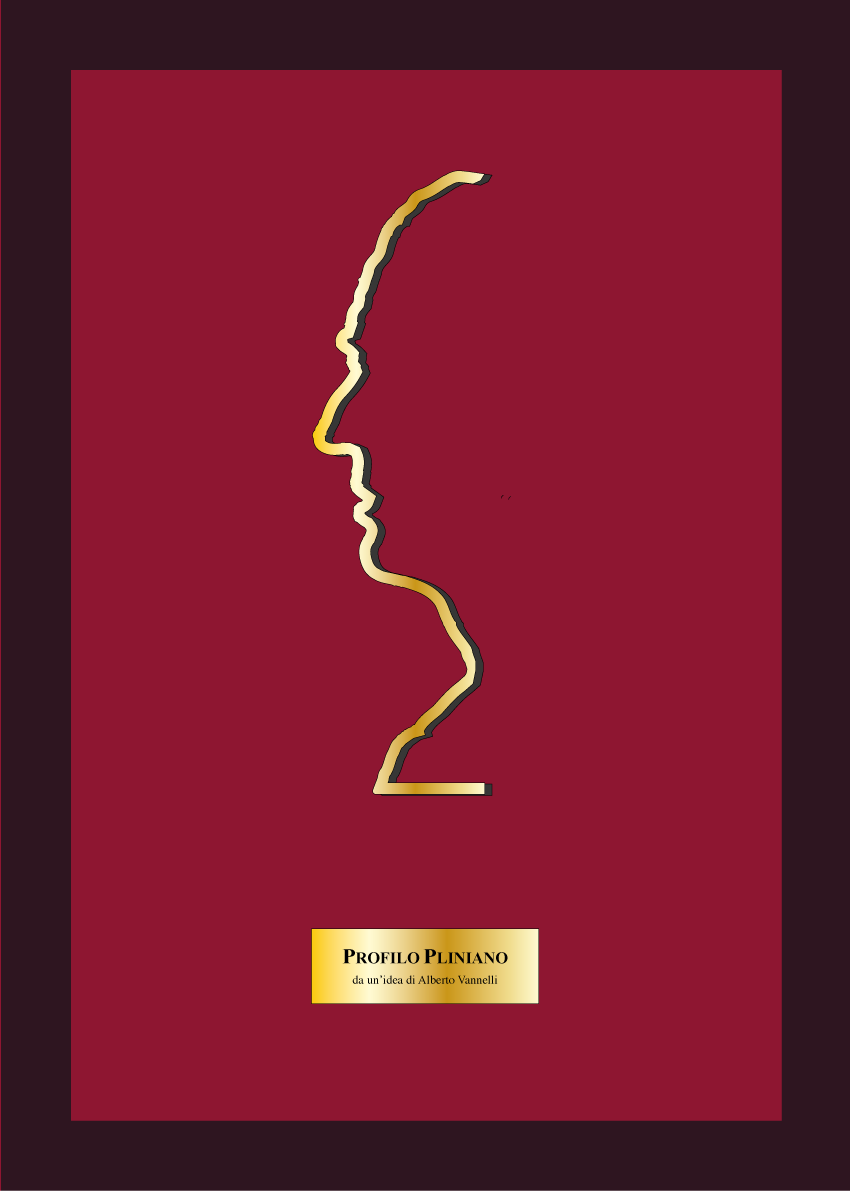 Targa Profilo Pliniano, scultura di Paolo Albano